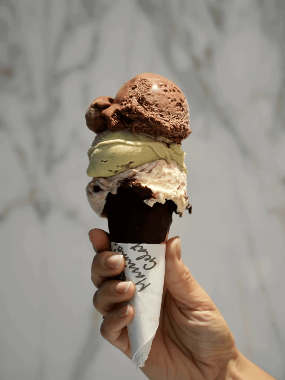 The Cone